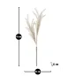 BULRUSH BRĄZOWY 35X93 cm MIN 18